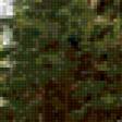 Предпросмотр схемы вышивки «Хвойный лес» (№1012757)