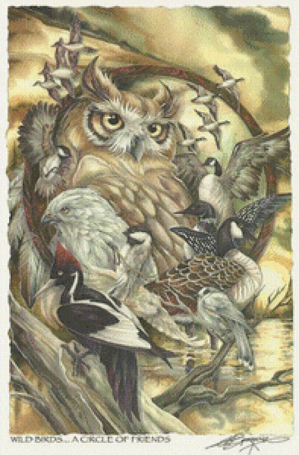 Филин - птицы - предпросмотр