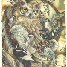 Схема вышивки «Филин»