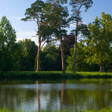 Схема вышивки «Сосны на берегу реки»