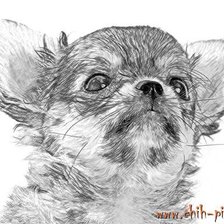 Схема вышивки «Щенок»