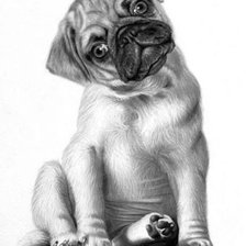 Схема вышивки «Мопс»