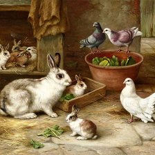 Схема вышивки «№1013127»