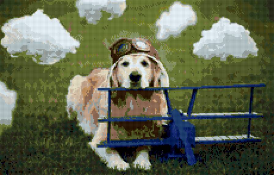 Собака пилот - предпросмотр