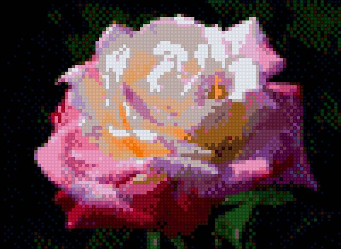 Роза - предпросмотр