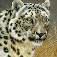 Схема вышивки «в мире животных»