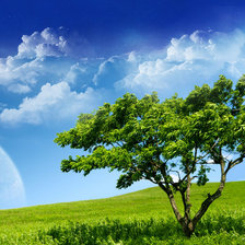 Схема вышивки «Дерево»