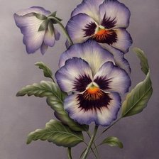 Схема вышивки «виолы»