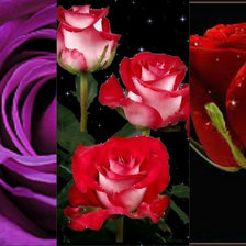 Схема вышивки «розочки»