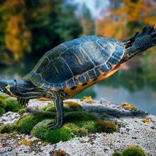 Схема вышивки «№1013792»