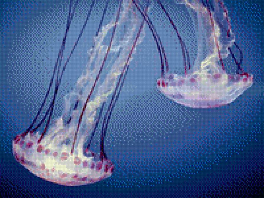 №1013801 - предпросмотр