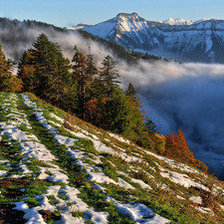 Схема вышивки «№1013806»