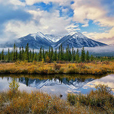 Схема вышивки «№1013807»