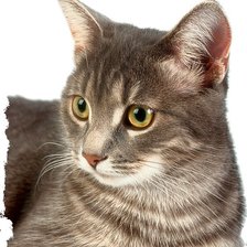 Схема вышивки «№1014055»