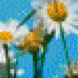 Предпросмотр схемы вышивки «Ромашки» (№1014226)