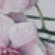 Предпросмотр схемы вышивки «орхидея» (№1014395)