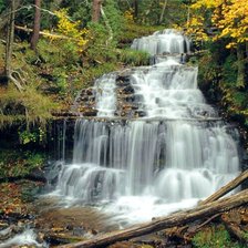 Схема вышивки «№1014581»