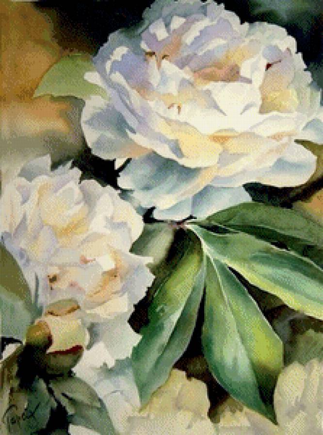 Цветочные акварели Jean-Claude Papeix № 3 - искусство, картина, цветы, живопись - предпросмотр