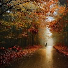 Схема вышивки «shemodgoma»