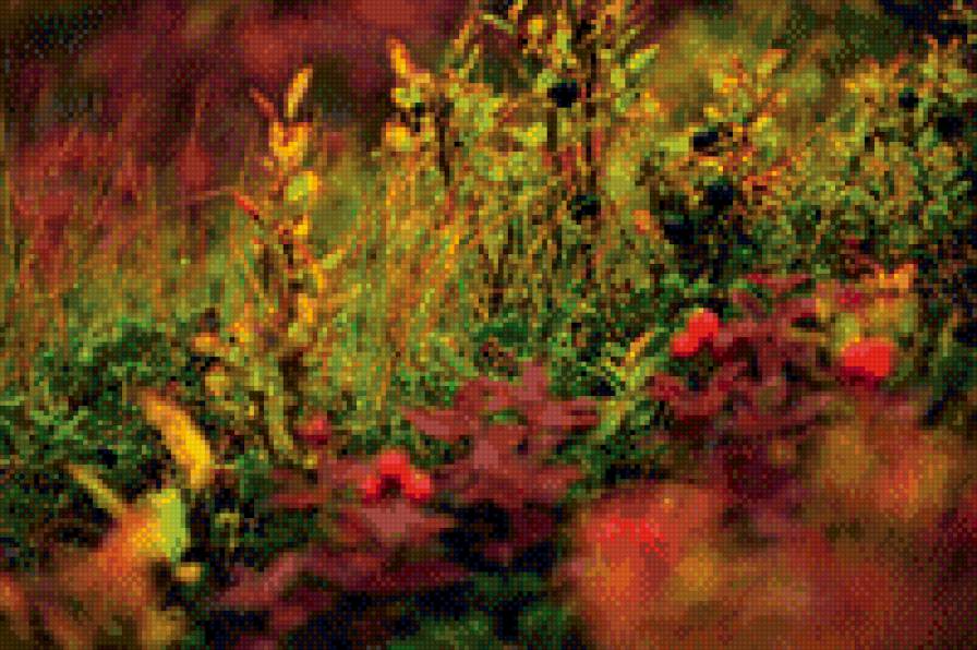 северная ягода - предпросмотр