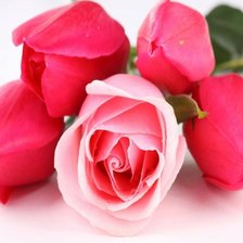 resaltando sobre las demas