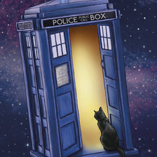 Схема вышивки «Кошка в Тардис-1»