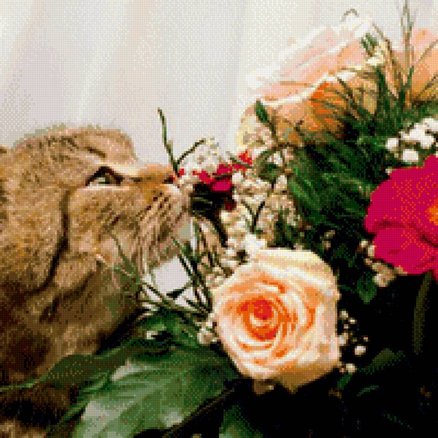 киса - предпросмотр