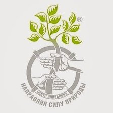 Схема вышивки «ilizarov centre»