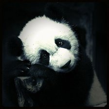 Схема вышивки «№1015729»