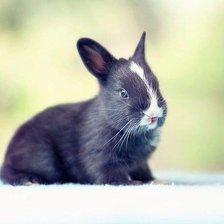 Схема вышивки «№1015731»