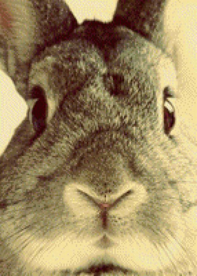 №1015732 - няшки, заяц, звери, зверюшки, животные - предпросмотр