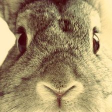 Схема вышивки «№1015732»