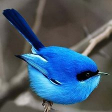 Схема вышивки «№1015743»