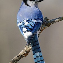 Схема вышивки «№1015745»