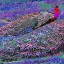 Схема вышивки «Pavos Reales»