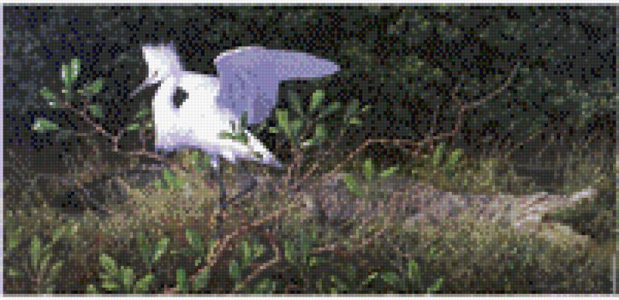 цапля - цапля - предпросмотр