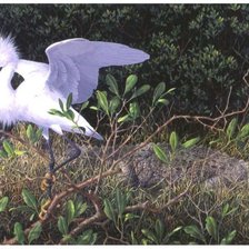 Схема вышивки «цапля»