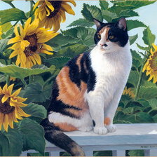 кошка и подсолнухи