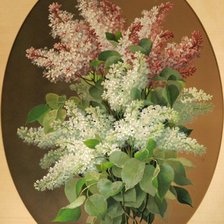 букет сирени