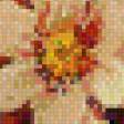 Предпросмотр схемы вышивки «Натюрморт» (№1016160)