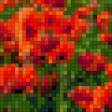 Предпросмотр схемы вышивки «Маковое поле» (№1016175)