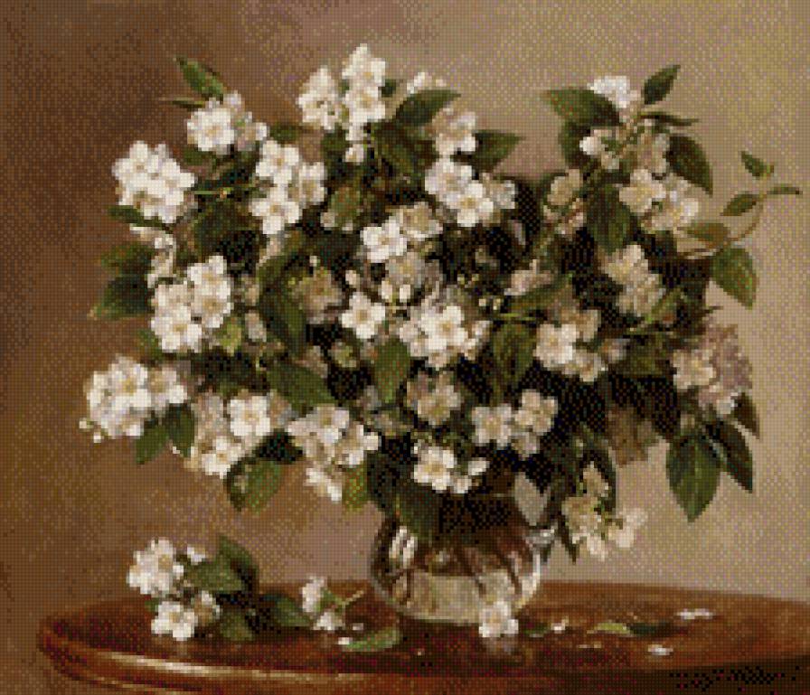 жасмин - цветы - предпросмотр