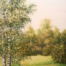 Схема вышивки «тропинка»