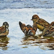 Схема вышивки «банный день»