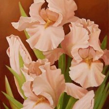 Схема вышивки «ирисы»