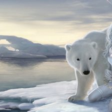 Схема вышивки «белый»