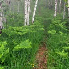 Схема вышивки «№1016358»