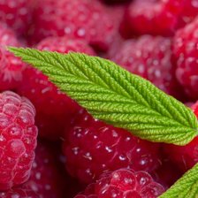 Схема вышивки «№1016361»