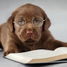 Схема вышивки «№1016367»