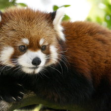 Схема вышивки «№1016369»